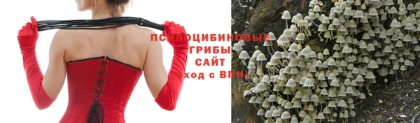 мяу мяу кристалл Гусев