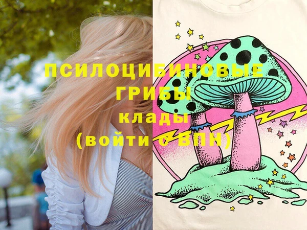 тгк Гусиноозёрск