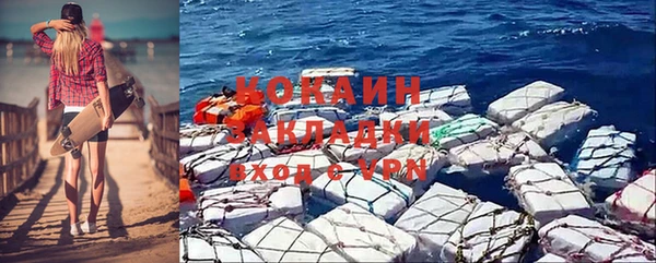 прущие грибы Гусь-Хрустальный