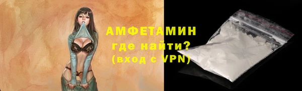 прущие грибы Гусь-Хрустальный