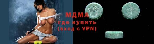 индика Щигры