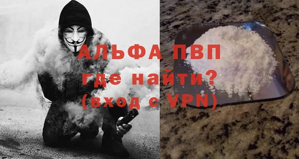 прущие грибы Гусь-Хрустальный