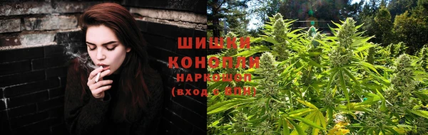 прущие грибы Гусь-Хрустальный