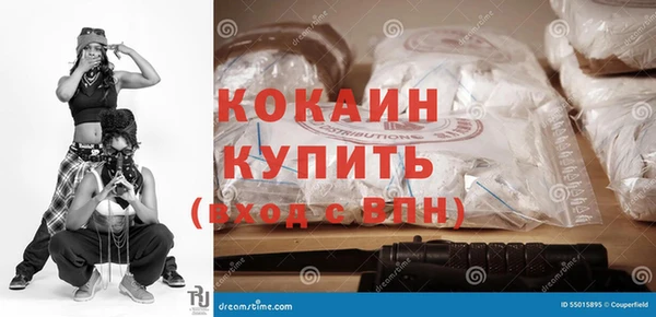 прущие грибы Гусь-Хрустальный